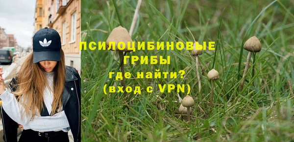 apvp Лагань