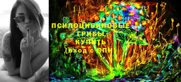 apvp Лагань
